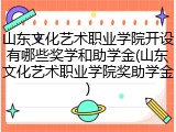 山东文化艺术职业学院开设有哪些奖学和助学金(山东文化艺术职业学院奖助学金)