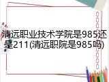 清远职业技术学院是985还是211(清远职院是985吗)