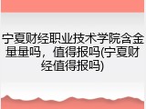 宁夏财经职业技术学院含金量量吗，值得报吗(宁夏财经值得报吗)
