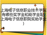 上海电子信息职业技术学院有哪些奖学金和助学金呢(上海电子信息职院奖助学金)