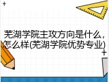 芜湖学院主攻方向是什么，怎么样(芜湖学院优势专业)