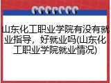 山东化工职业学院有没有就业指导，好就业吗(山东化工职业学院就业情况)