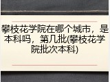 攀枝花学院在哪个城市，是本科吗，第几批(攀枝花学院批次本科)