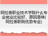 阿拉善职业技术学院什么专业就业比较好，原因是啥(阿拉善职院优势专业)