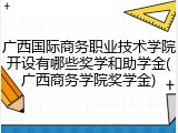 广西国际商务职业技术学院开设有哪些奖学和助学金(广西商务学院奖学金)
