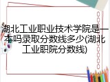 湖北工业职业技术学院是一本吗录取分数线多少(湖北工业职院分数线)