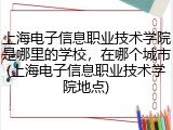 上海电子信息职业技术学院是哪里的学校，在哪个城市(上海电子信息职业技术学院地点)