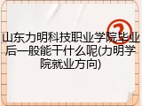山东力明科技职业学院毕业后一般能干什么呢(力明学院就业方向)