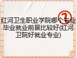 红河卫生职业学院哪个专业毕业就业前景比较好(红河卫院好就业专业)