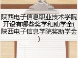 陕西电子信息职业技术学院开设有哪些奖学和助学金(陕西电子信息学院奖助学金)