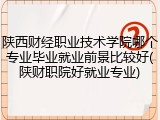 陕西财经职业技术学院哪个专业毕业就业前景比较好(陕财职院好就业专业)