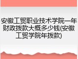 安徽工贸职业技术学院一年财政拨款大概多少钱(安徽工贸学院年拨款)