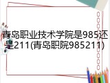 青岛职业技术学院是985还是211(青岛职院985211)