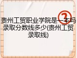 贵州工贸职业学院是一本吗录取分数线多少(贵州工贸录取线)