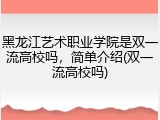 黑龙江艺术职业学院是双一流高校吗，简单介绍(双一流高校吗)