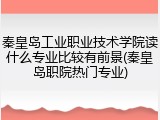 秦皇岛工业职业技术学院读什么专业比较有前景(秦皇岛职院热门专业)