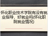 怀化职业技术学院有没有就业指导，好就业吗(怀化职院就业情况)