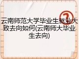 云南师范大学毕业生就业大致去向如何(云南师大毕业生去向)