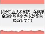 长沙职业技术学院一年奖学金最多能拿多少(长沙职院最高奖学金)