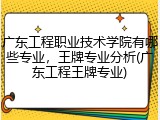 广东工程职业技术学院有哪些专业，王牌专业分析(广东工程王牌专业)
