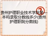 贵州护理职业技术学院是一本吗录取分数线多少(贵州护理职院分数线)