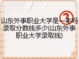 山东外事职业大学是一本吗录取分数线多少(山东外事职业大学录取线)