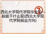 西北大学现代学院毕业后一般能干什么呢(西北大学现代学院就业方向)