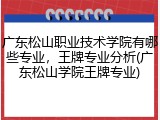 广东松山职业技术学院有哪些专业，王牌专业分析(广东松山学院王牌专业)