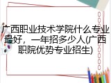 广西职业技术学院什么专业最好，一年招多少人(广西职院优势专业招生)
