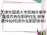 天津外国语大学滨海外事学院是否有在职研究生,报考条件如何(滨外在职研条件)