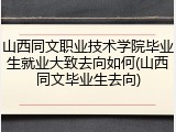 山西同文职业技术学院毕业生就业大致去向如何(山西同文毕业生去向)