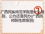 广西民族师范学院是什么级别，公办还是民办(广西民师院性质级别)