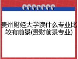 贵州财经大学读什么专业比较有前景(贵财前景专业)