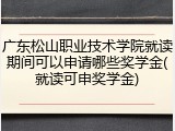 广东松山职业技术学院就读期间可以申请哪些奖学金(就读可申奖学金)