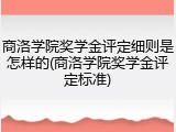 商洛学院奖学金评定细则是怎样的(商洛学院奖学金评定标准)