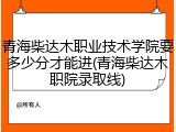 青海柴达木职业技术学院要多少分才能进(青海柴达木职院录取线)