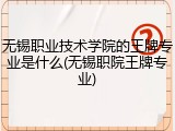 无锡职业技术学院的王牌专业是什么(无锡职院王牌专业)