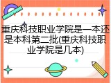 重庆科技职业学院是一本还是本科第二批(重庆科技职业学院是几本)