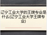 辽宁工业大学的王牌专业是什么(辽宁工业大学王牌专业)