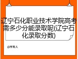 辽宁石化职业技术学院高考需多少分能录取呢(辽宁石化录取分数)