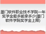 厦门软件职业技术学院一年奖学金最多能拿多少(厦门软件学院奖学金上限)