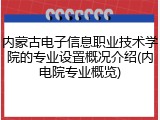 内蒙古电子信息职业技术学院的专业设置概况介绍(内电院专业概览)