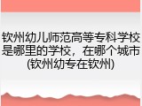 钦州幼儿师范高等专科学校是哪里的学校，在哪个城市(钦州幼专在钦州)