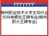 柳州职业技术大学主攻什么方向有哪些王牌专业(柳州职大王牌专业)