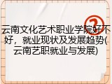 云南文化艺术职业学院好不好，就业现状及发展趋势(云南艺职就业与发展)