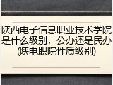 陕西电子信息职业技术学院是什么级别，公办还是民办(陕电职院性质级别)