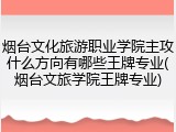 烟台文化旅游职业学院主攻什么方向有哪些王牌专业(烟台文旅学院王牌专业)