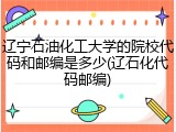 辽宁石油化工大学的院校代码和邮编是多少(辽石化代码邮编)