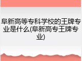 阜新高等专科学校的王牌专业是什么(阜新高专王牌专业)
