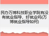 民办万博科技职业学院有没有就业指导，好就业吗(万博就业指导如何)